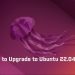 How to Upgrade to Ubuntu 22.04 LTS