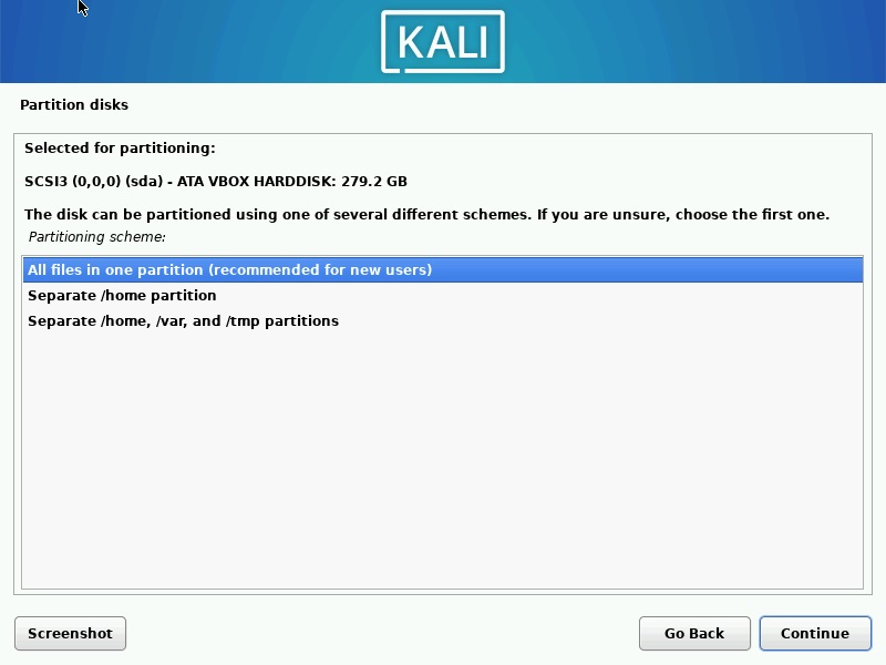 Kali Linux Partitons