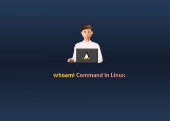 Whoami Command in Linux