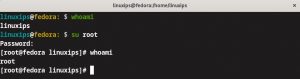 Whoami Command in Linux - Linuxips