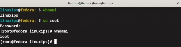 Whoami Command in Linux - Linuxips