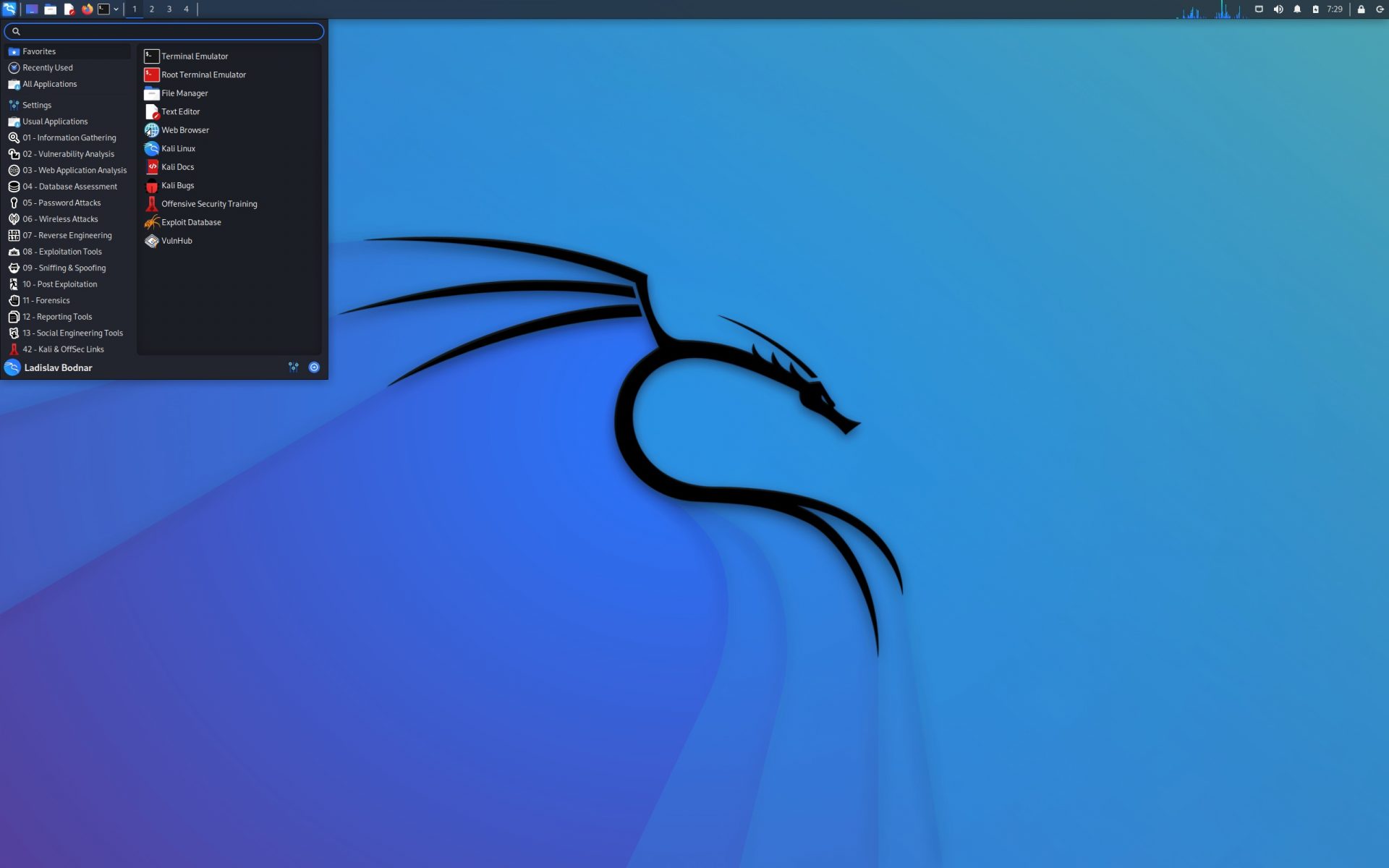 Kali Linux Hacking Distro