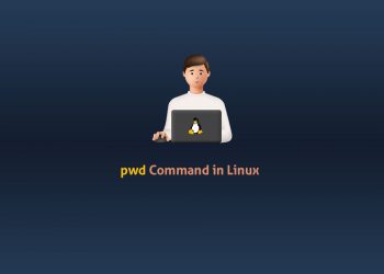 pwd Command in Linux