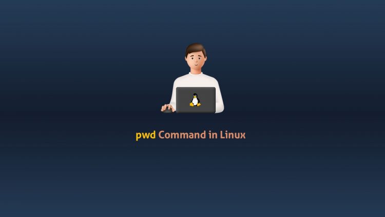 pwd Command in Linux