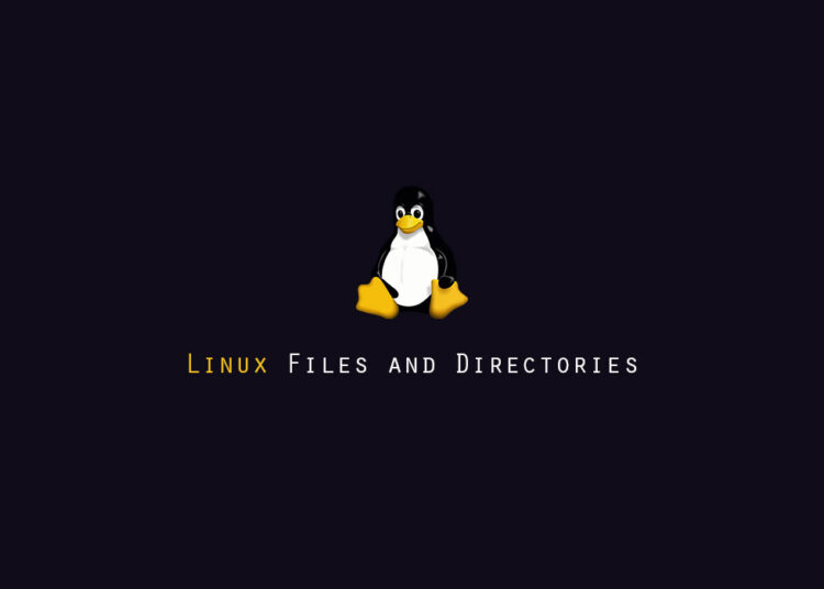 Dpkg command in linux linuxips