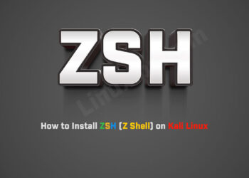 How to Install ZSH on Kali Linux 2024.1